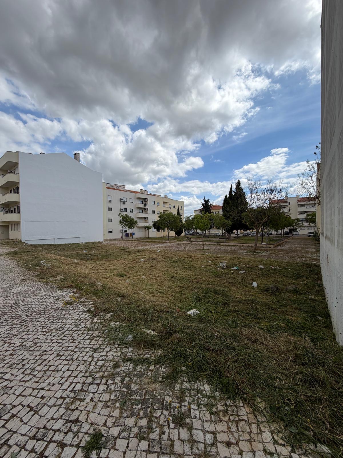 Jardinagem Lima - Montijo - Poda e Manutenção de Árvores