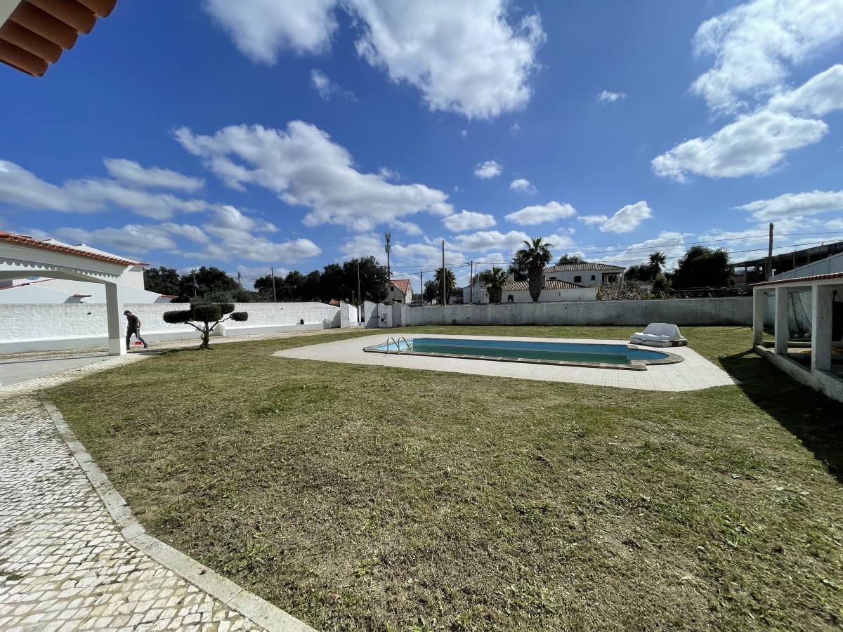 Jardinagem Lima - Montijo - Plantação de Árvores