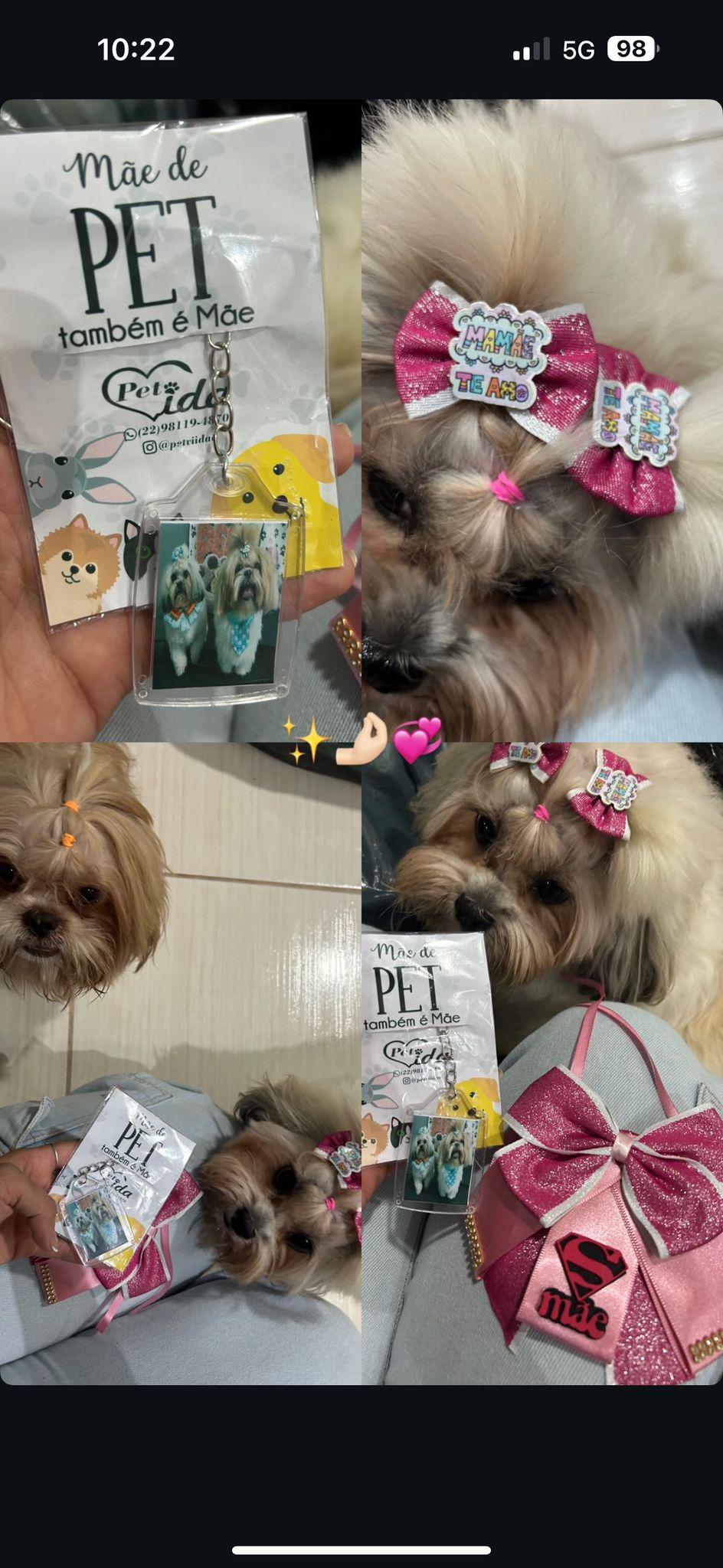 Joana - Maia - Paseador de perros