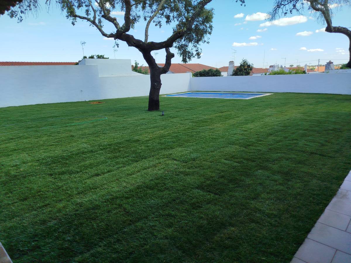 Antonio Videira - Vendas Novas - Tree Stump Grinding and Removal