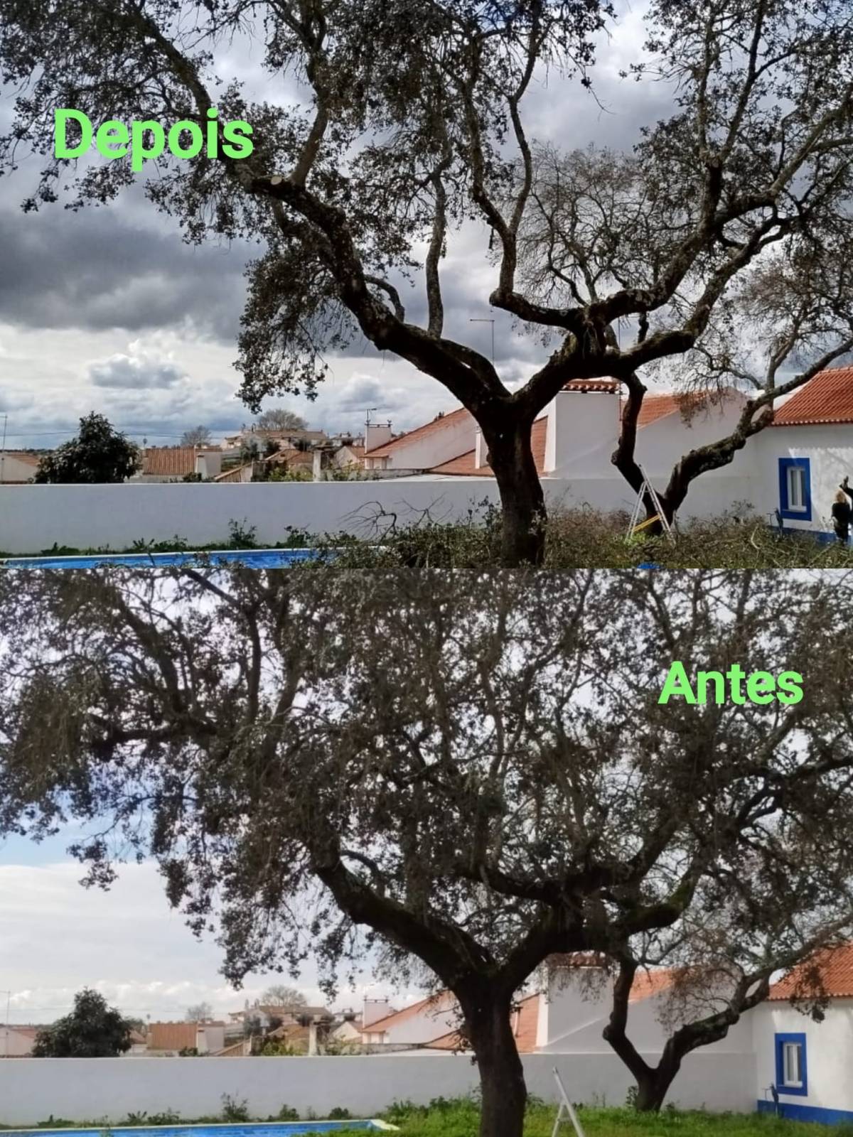 Antonio Videira - Vendas Novas - Weeding