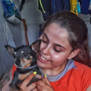 Maria Jorge - Aveiro - Guardería para perros