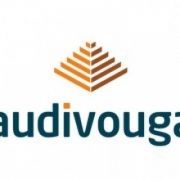 Audivouga - Consultoria Empresarial Lda - Santa Maria da Feira - Consultoria Empresarial