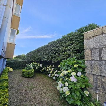 Tiago Filipe Varejao - Porto - Nivelação de Terreno - Pequena Dimensão (menos de 1 hectar)