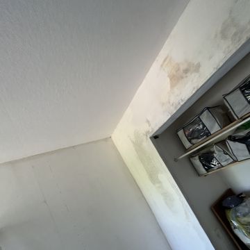 Gurvinder cheema - Porto - Floor Painting or Coating