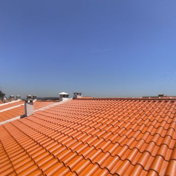 Domni Serviços - Seixal - Eliminación de arbustos