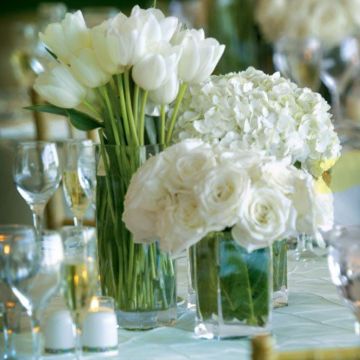 Fiori - Braga - Florista de eventos
