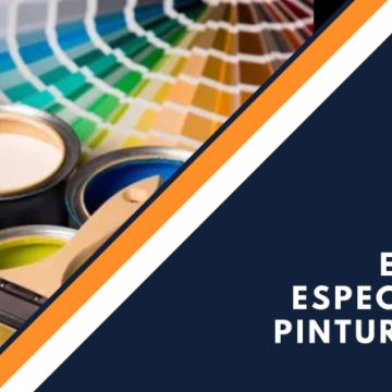 PINTURAS NORTE PORTUGAL - Maia - Limpeza de Telhado