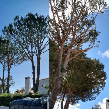 Antonio Videira - Vendas Novas - Outdoor Landscaping