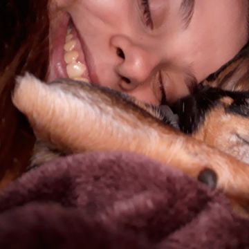 Maria Jorge - Aveiro - Hospedaje de perros