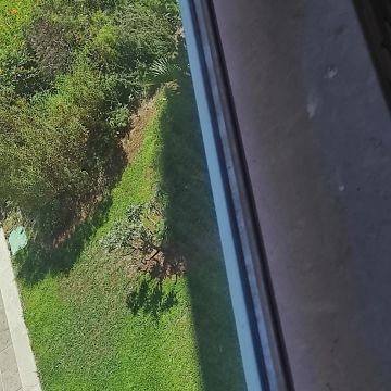 Elizinete Inácia Custodio - Odivelas - Limpieza de ventanas