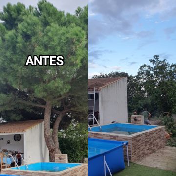 Antonio Videira - Vendas Novas - Lawncare