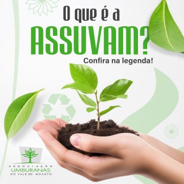 Thomas Gonçalves - Évora - Print Design