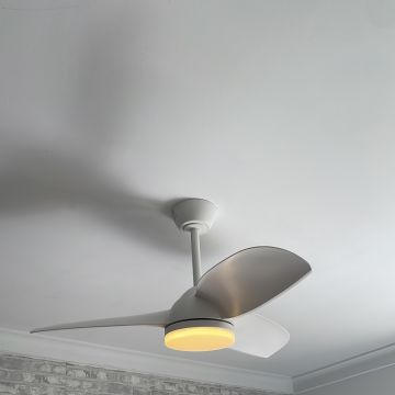 Lascosck Instalações Elétricas - Lisboa - Reparación de interruptores y enchufes