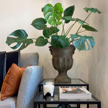 Alexandre Lopes - Almada - Decoración de interiores