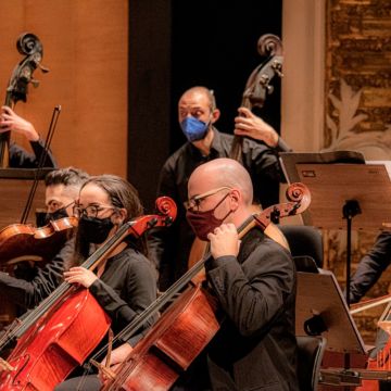 Mateus Guerrero - Montijo - Aulas de Violino