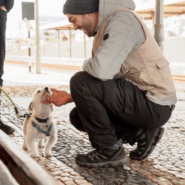 Joaosilva.dogtrainer - Alcobaça - Treino de Cães