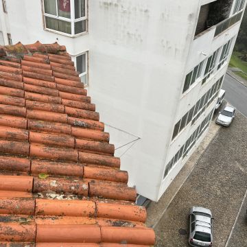 OTP CONSTRUÇÕES - Cascais - Poda e Manutenção de Árvores
