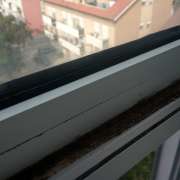 Miguel Ângelo - Coimbra - Multi Service Lawn Care