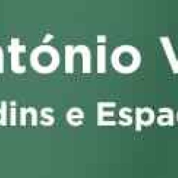 Antonio Videira - Vendas Novas - Gardening