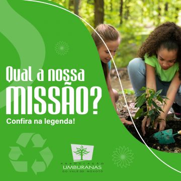 Thomas Gonçalves - Évora - E Commerce