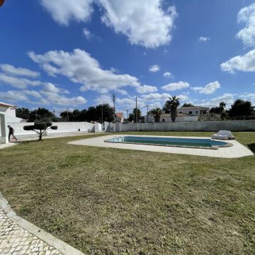 Jardinagem Lima - Montijo - Plantação de Árvores