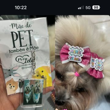 Joana - Maia - Paseador de perros