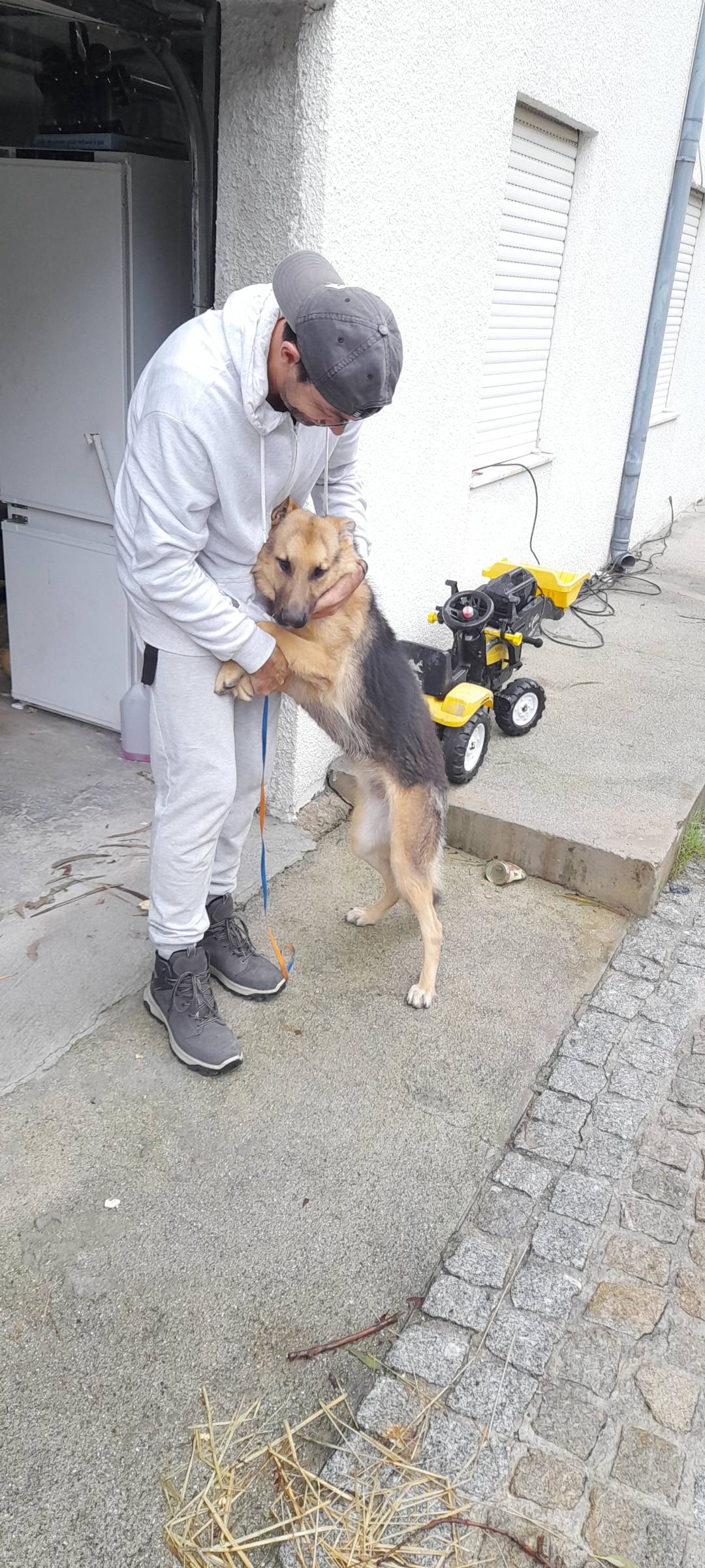 Simão Castro - Vizela - Pet Sitting