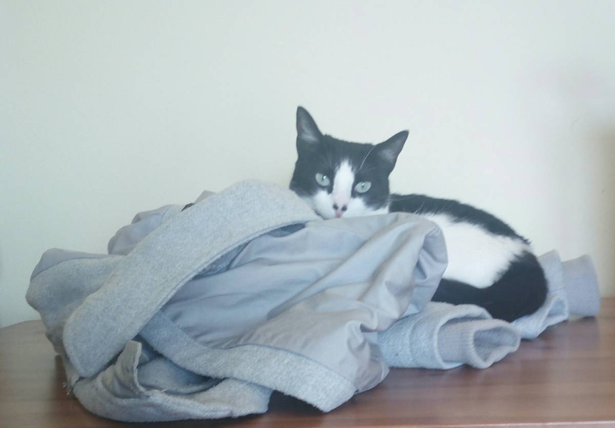 Joana - Vila Franca de Xira - Pet Sitting e Pet Walking