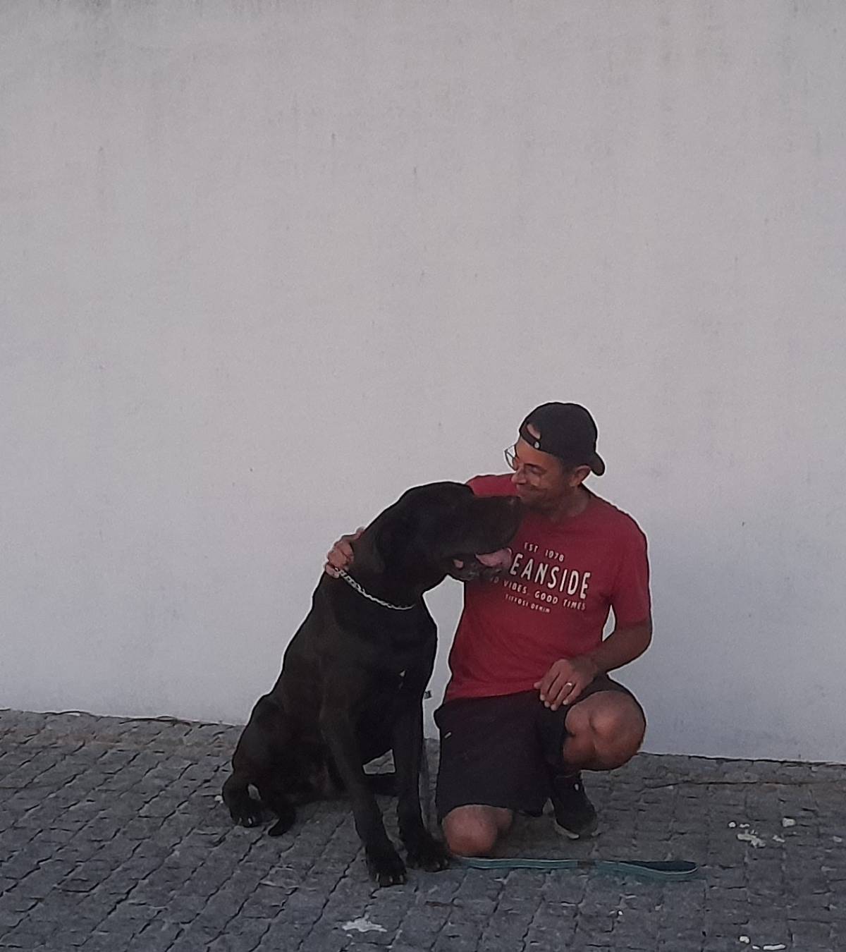 Simão Castro - Vizela - Treino de Animais
