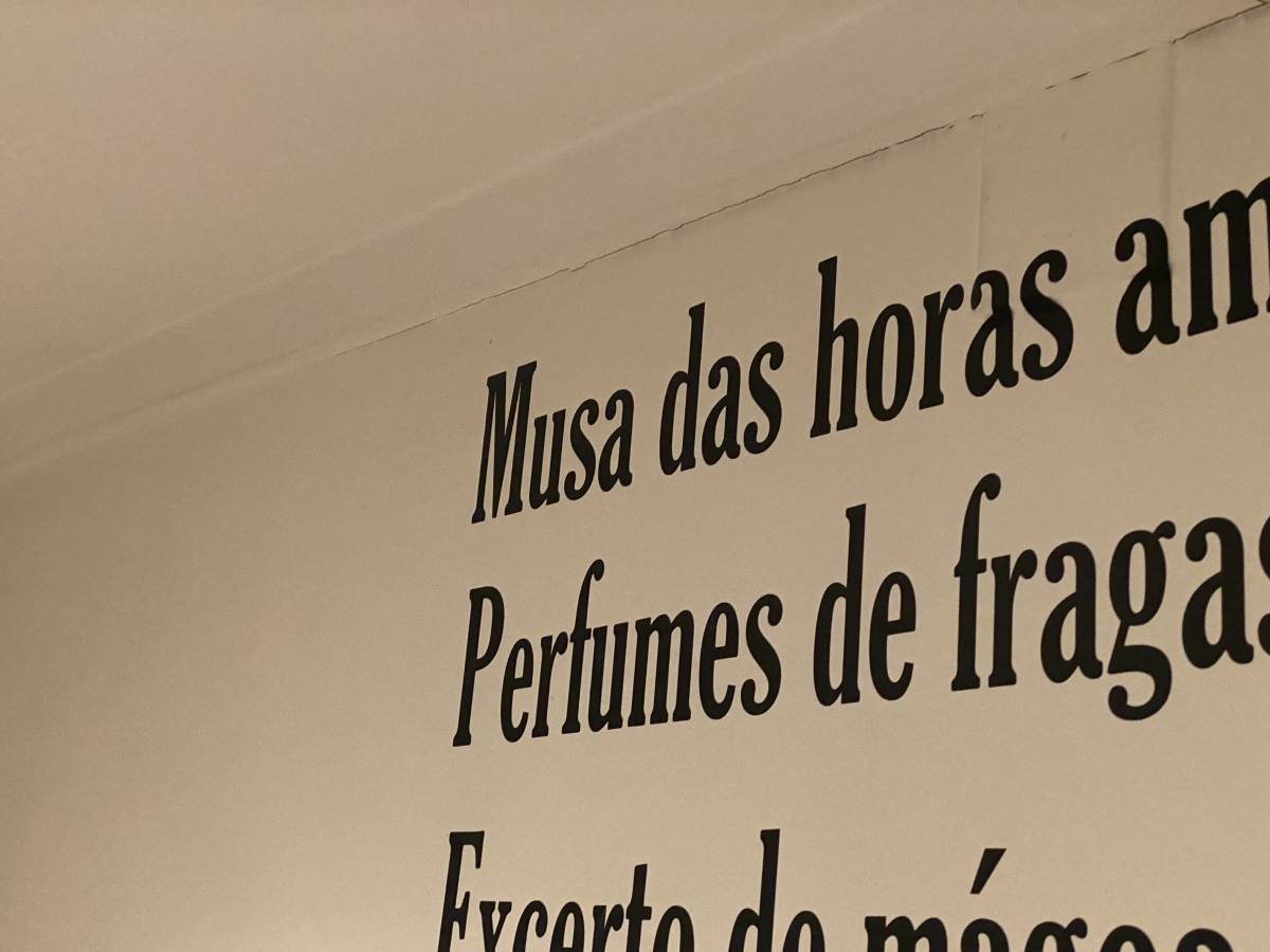Nasser - Póvoa de Varzim - Poda y mantenimiento de árboles