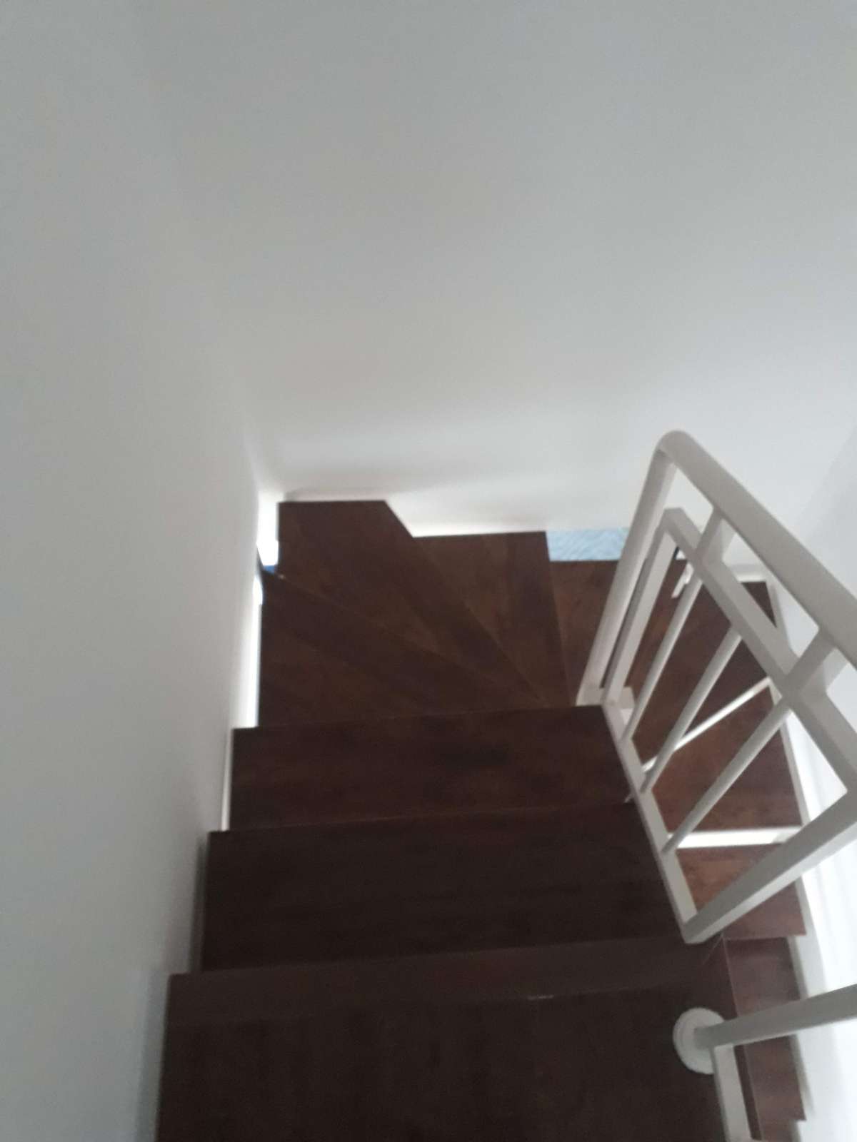 Osmar da Silveira - Aveiro - Hardwood Floor Installation