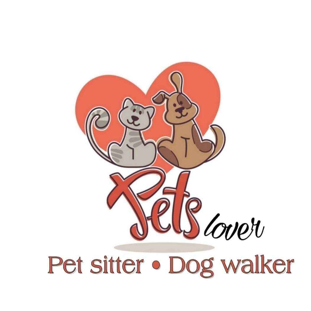 Petslover - Almada - Garde de chat