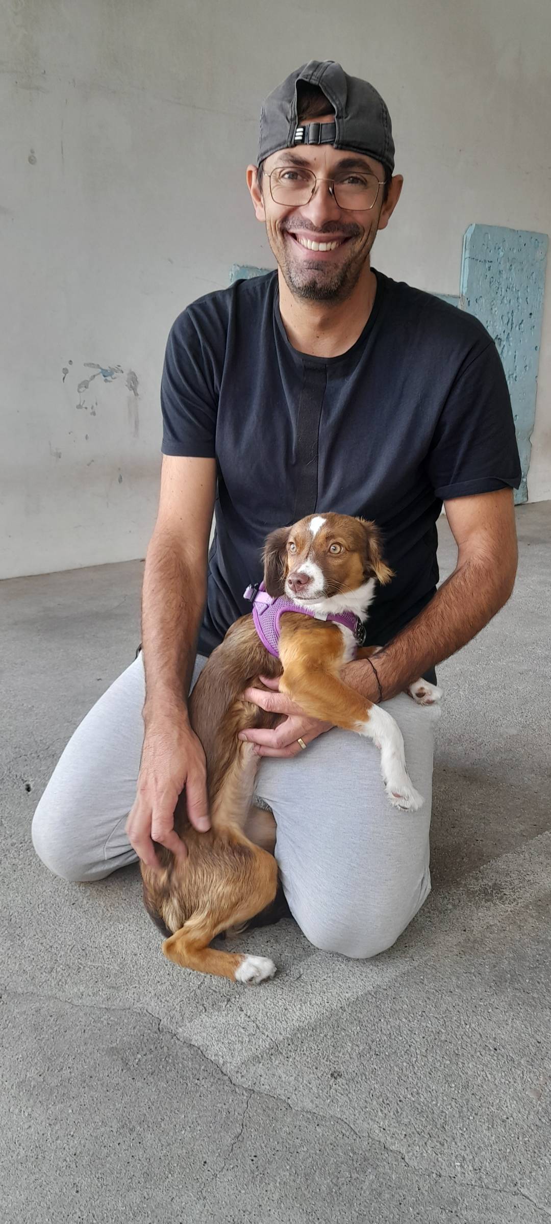 Simão Castro - Vizela - Hotel para Cães