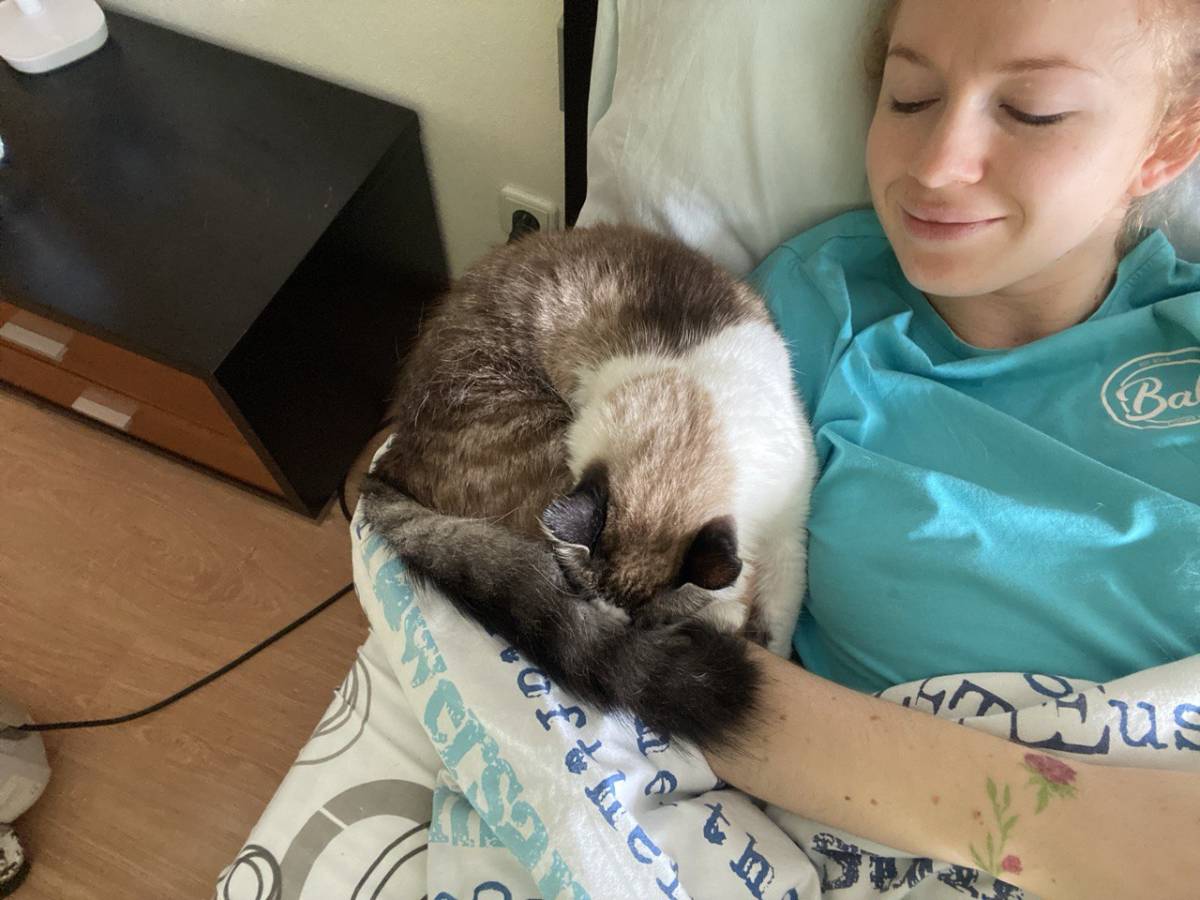 Yana Voichyshena - Batalha - Pet Sitting