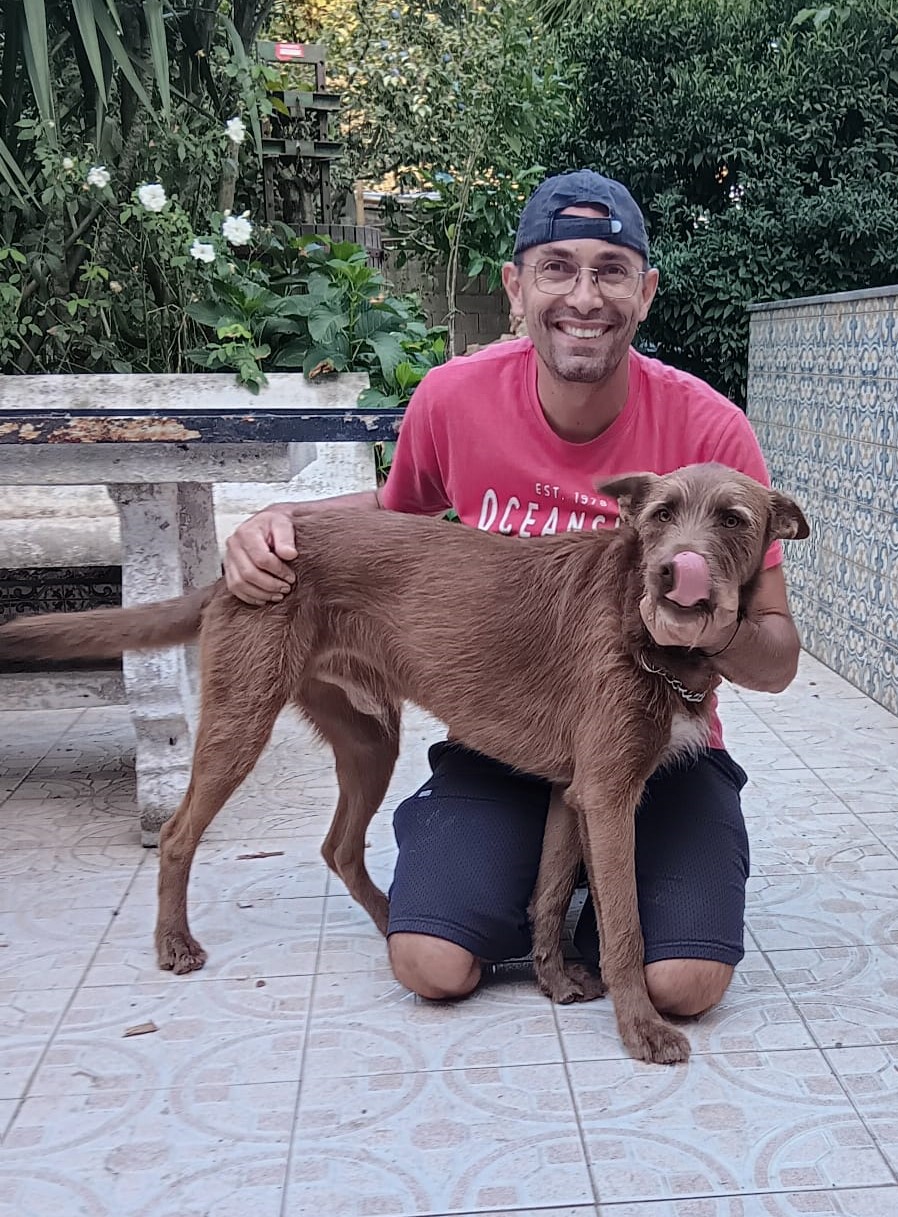 Simão Castro - Vizela - Modificação de Comportamento Animal