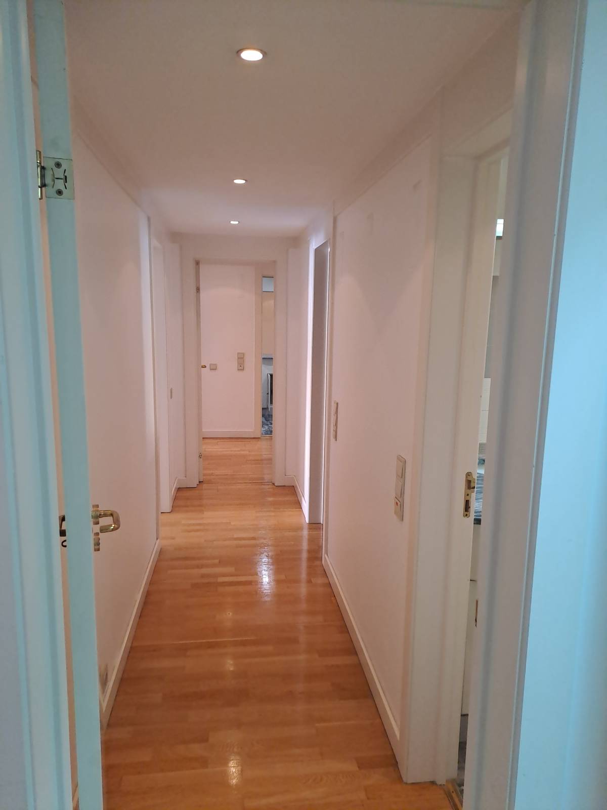 Só green lda - Lisboa - Limpeza da Casa (Recorrente)