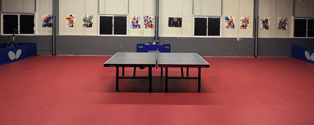 Tiago Nunes - Lisboa - Cours de tennis de table