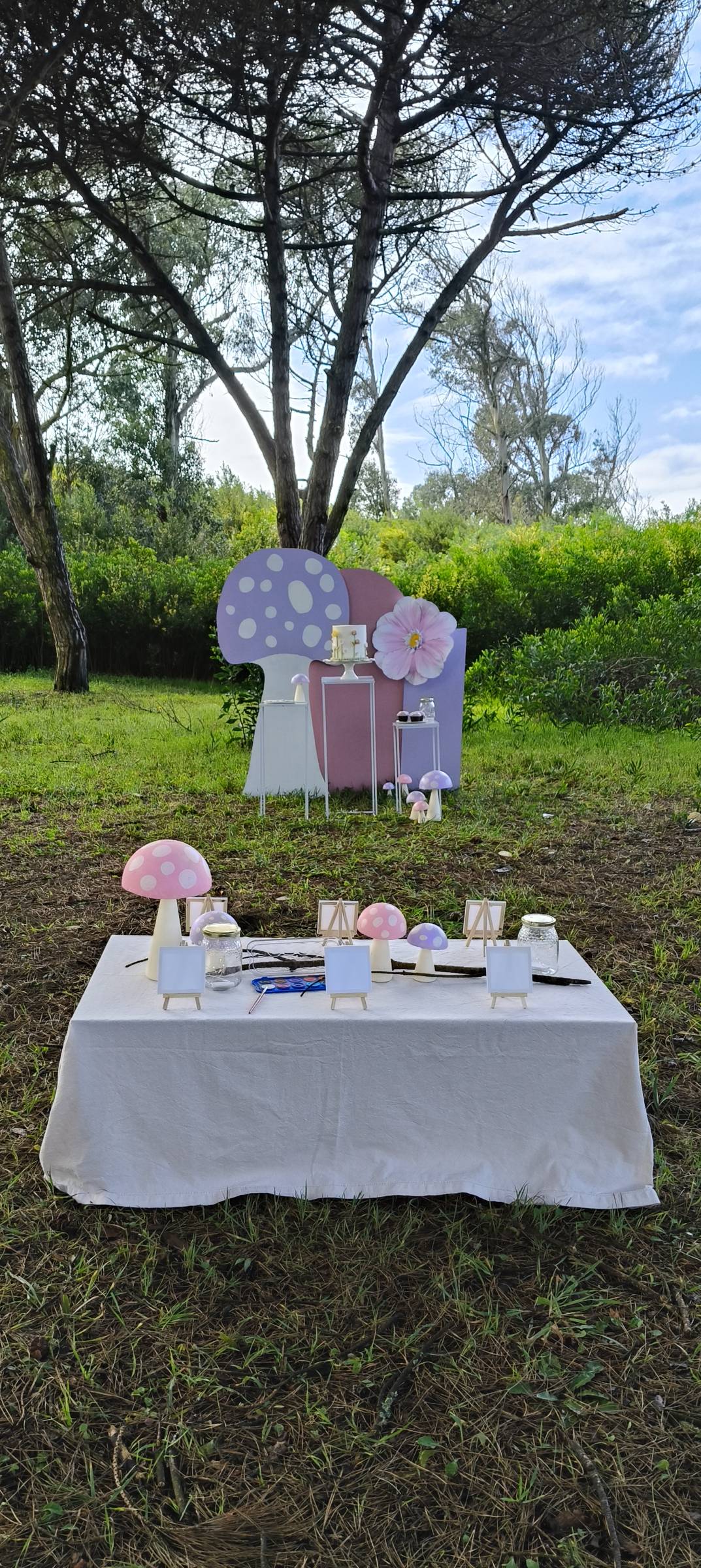 Tututi Eventos - Coimbra - Organização de Festa de Chá Revelação