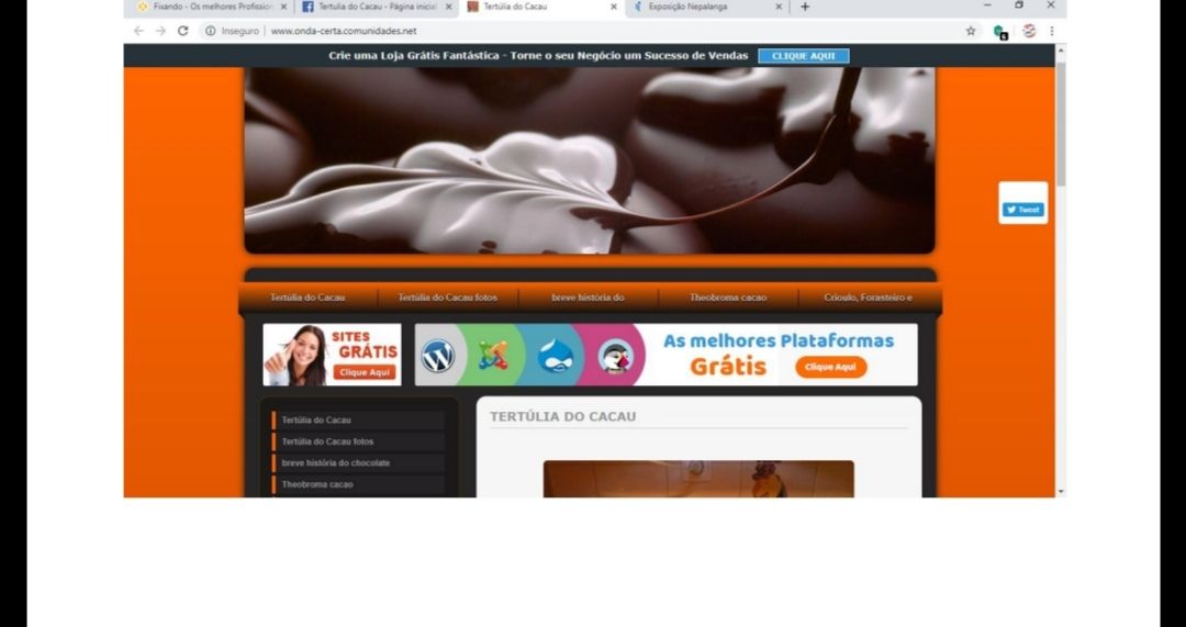 Alice Gaspar dos Santos - Loures - Advertising