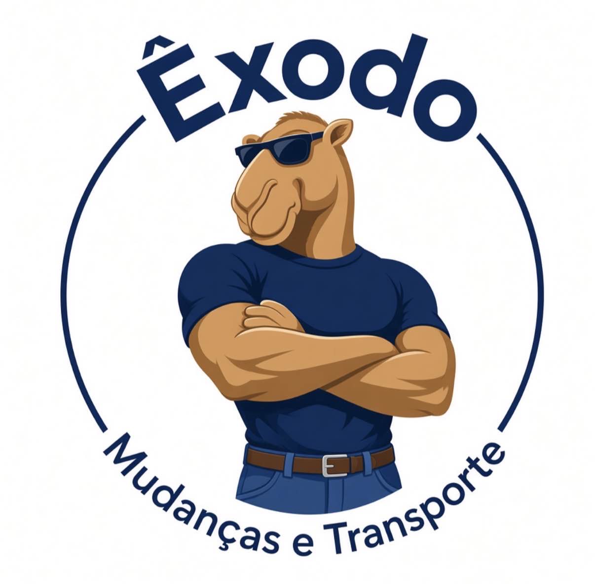 Êxodo Mudanças - Seixal - Construção de Parede Interior