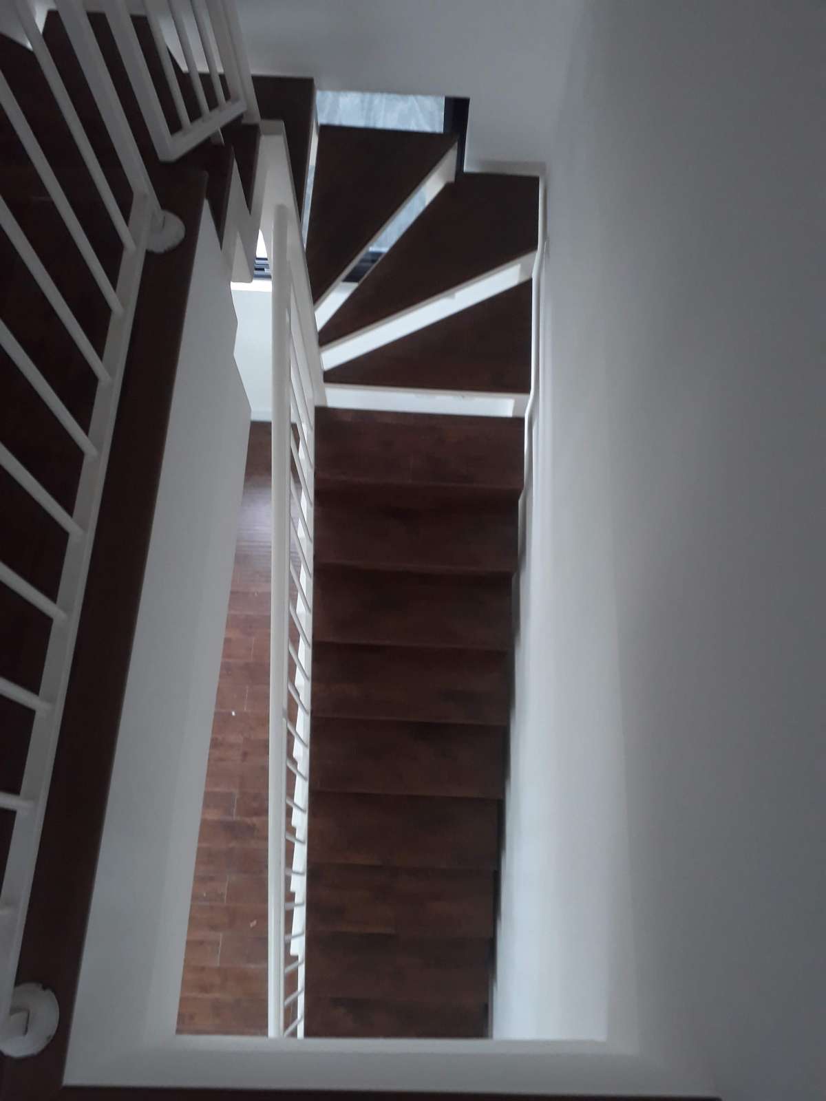 Osmar da Silveira - Aveiro - Furniture restoration