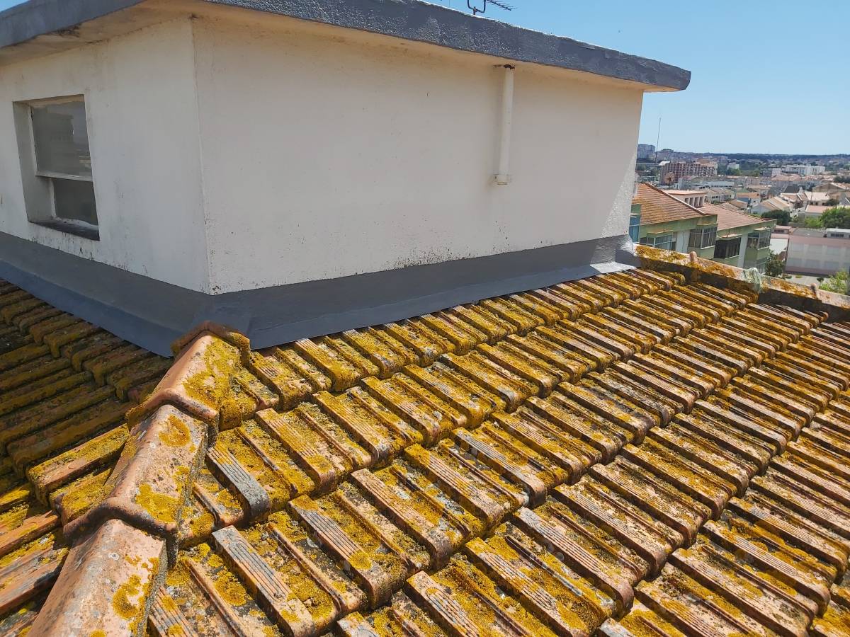 PFresolve - Seixal - Hardwood Floor Repair or Partial Replacement