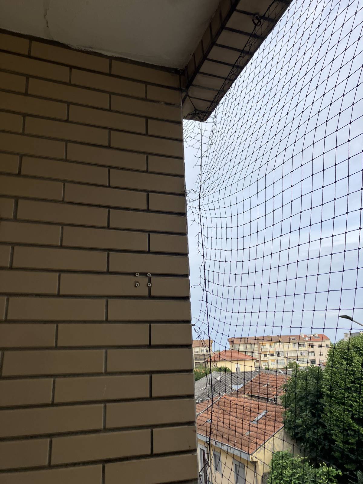 Fenster
