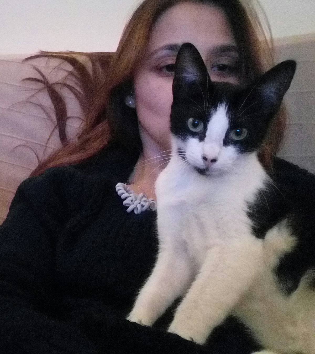 Joana - Vila Franca de Xira - Hotel e Creche para Animais