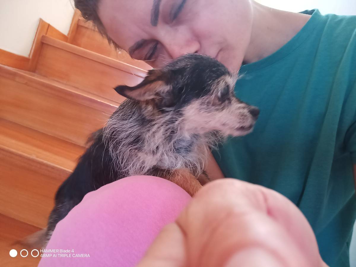 Rafaela - Viseu - Dog Walking