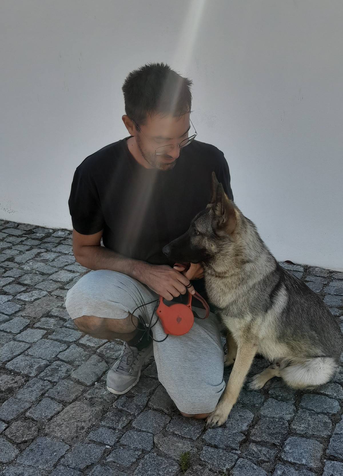 Simão Castro - Vizela - Hotel e Creche para Animais