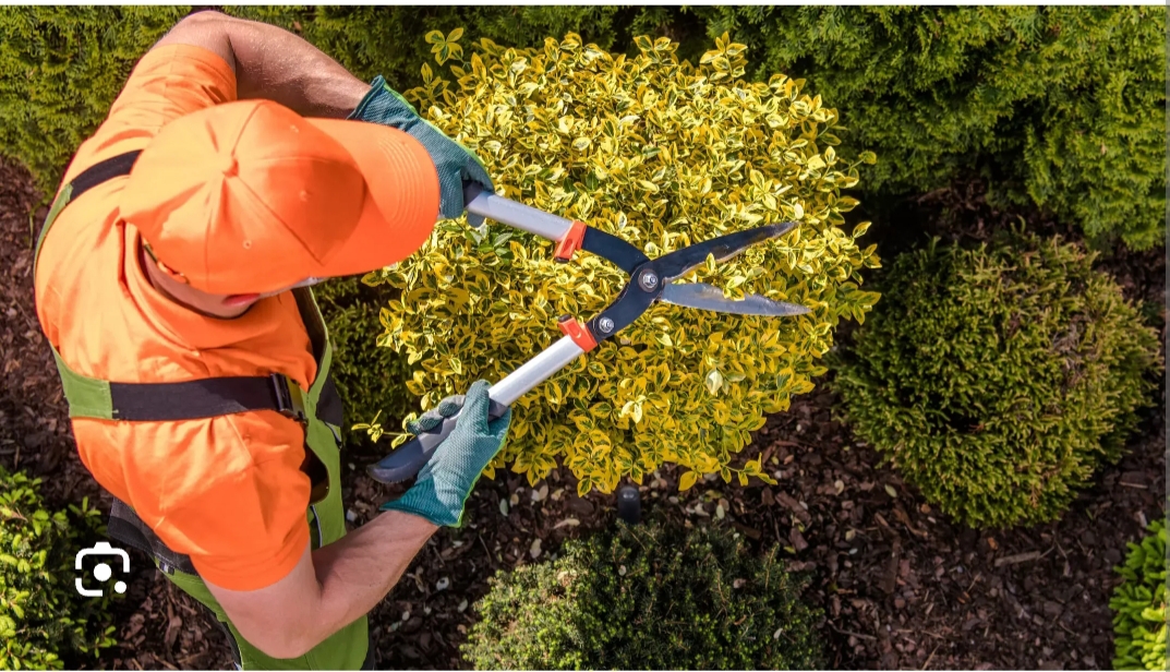 Vítor M - Maia - Outdoor Plumbing Repair or Maintenance