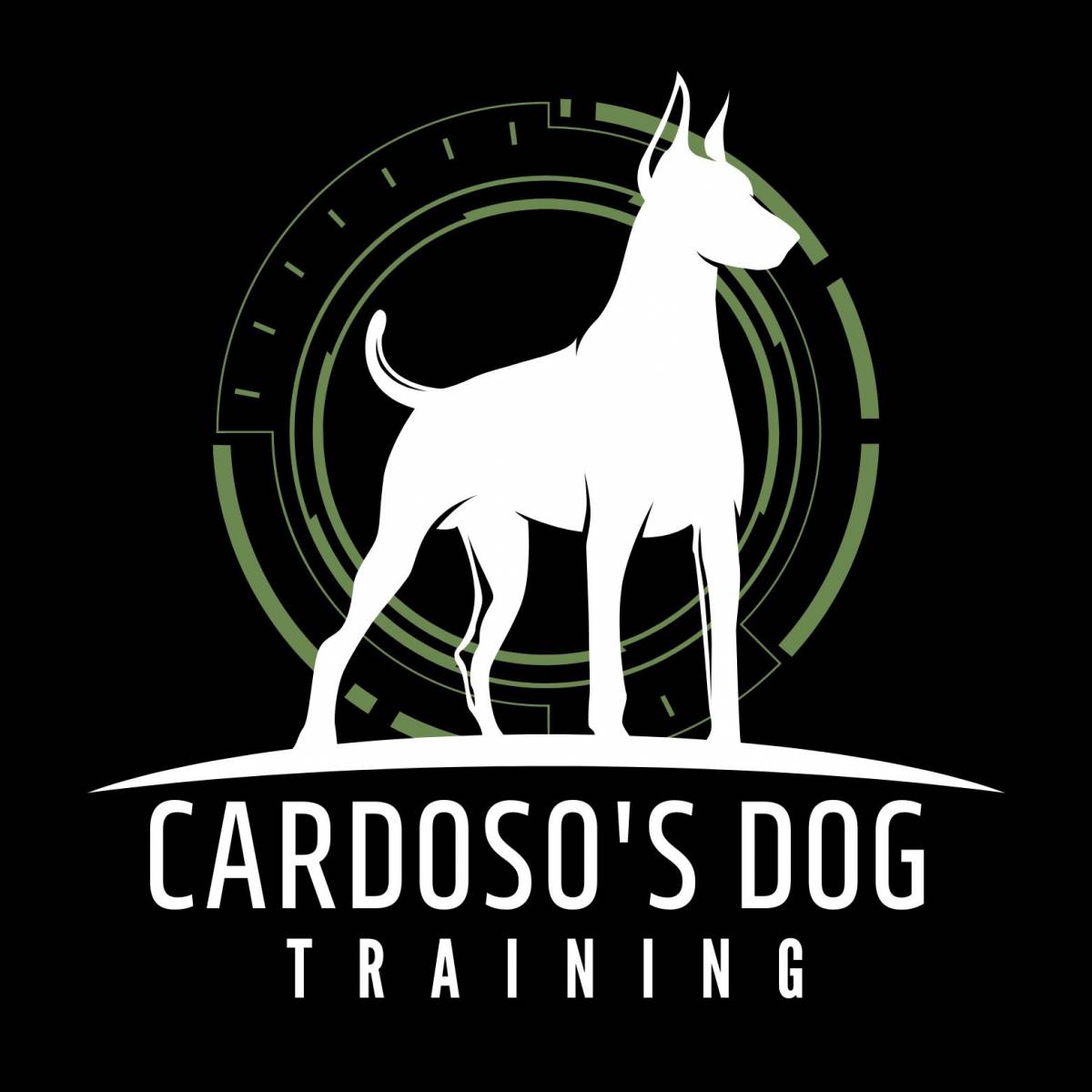 Cardoso’s Dog Training - Oeiras - Treino de Cães - Aulas