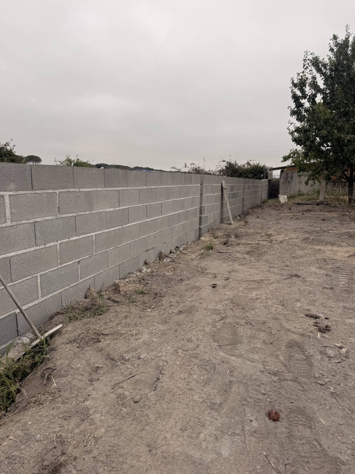 Fração cósmica- UNIPESSOAL LDA - Viseu - Demolição de Construções